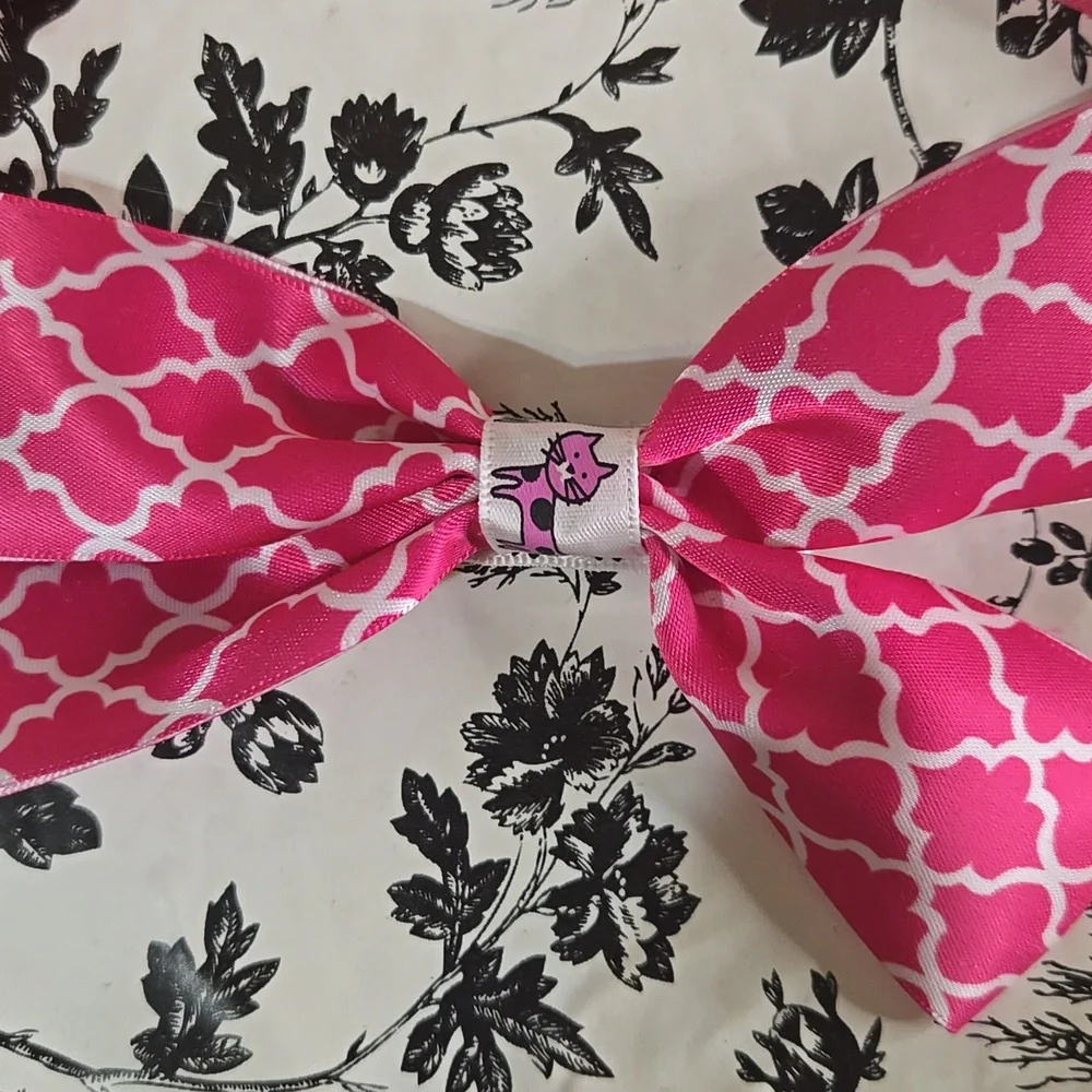 Pink and Orange Hair Accessories Set B16